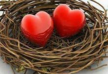 آکورد آهنگ آشیونه