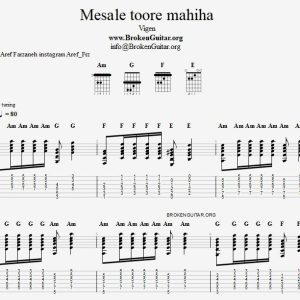 نت و تبلچر مثال تور ماهی ها
