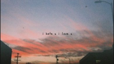 آکورد آهنگ i hate you i love you