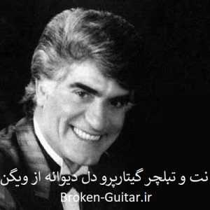 نت تبلچر گیتارپرو دل دیوانه ویگن