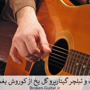 نت و تبلچر گل یخ از کوروش یغمایی